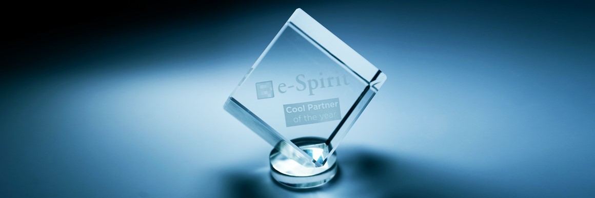 e-spirit cool Partner 2018