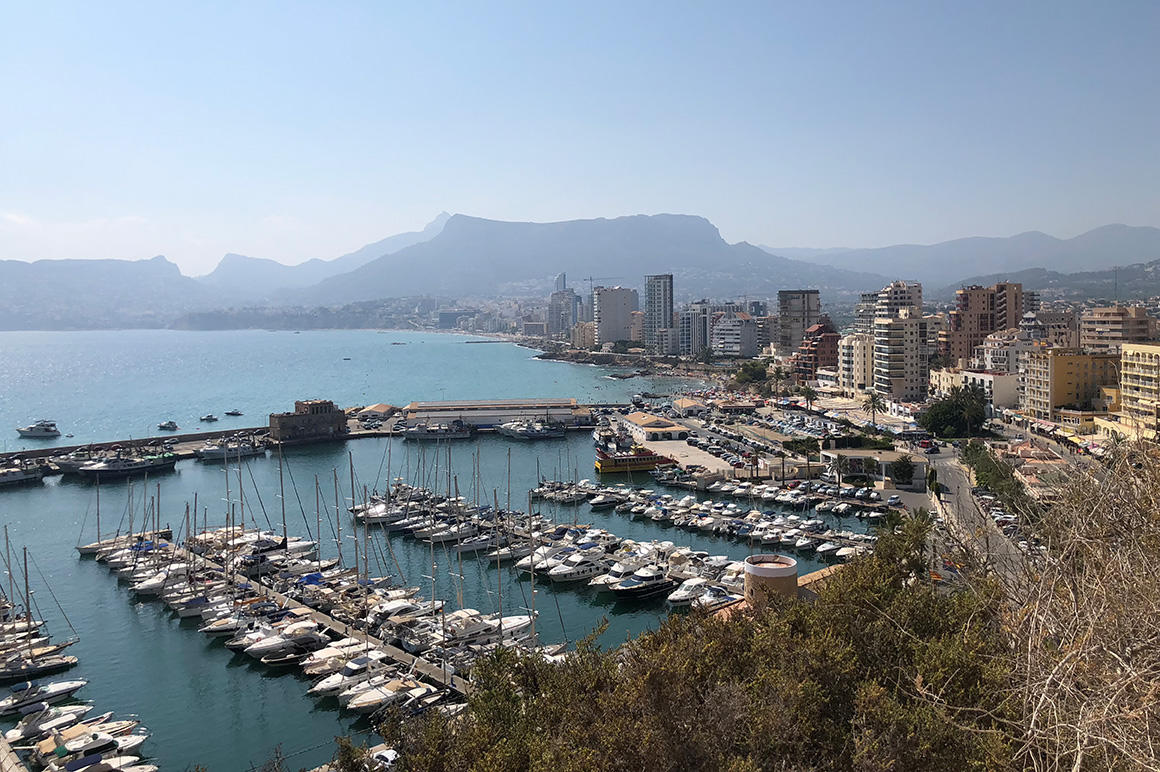 Valencia Wort at Travel 
